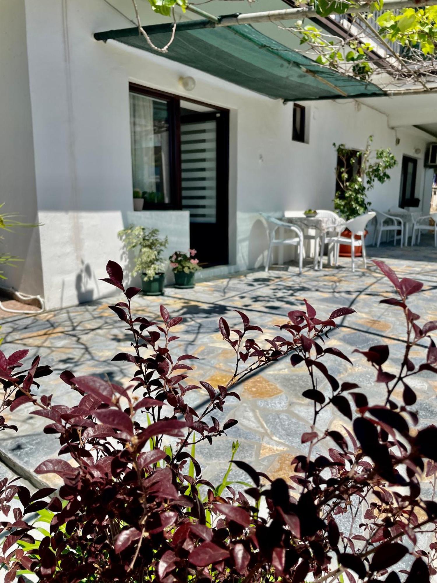 Apartments Marina Bečići 外观 照片